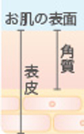 お肌の悩み